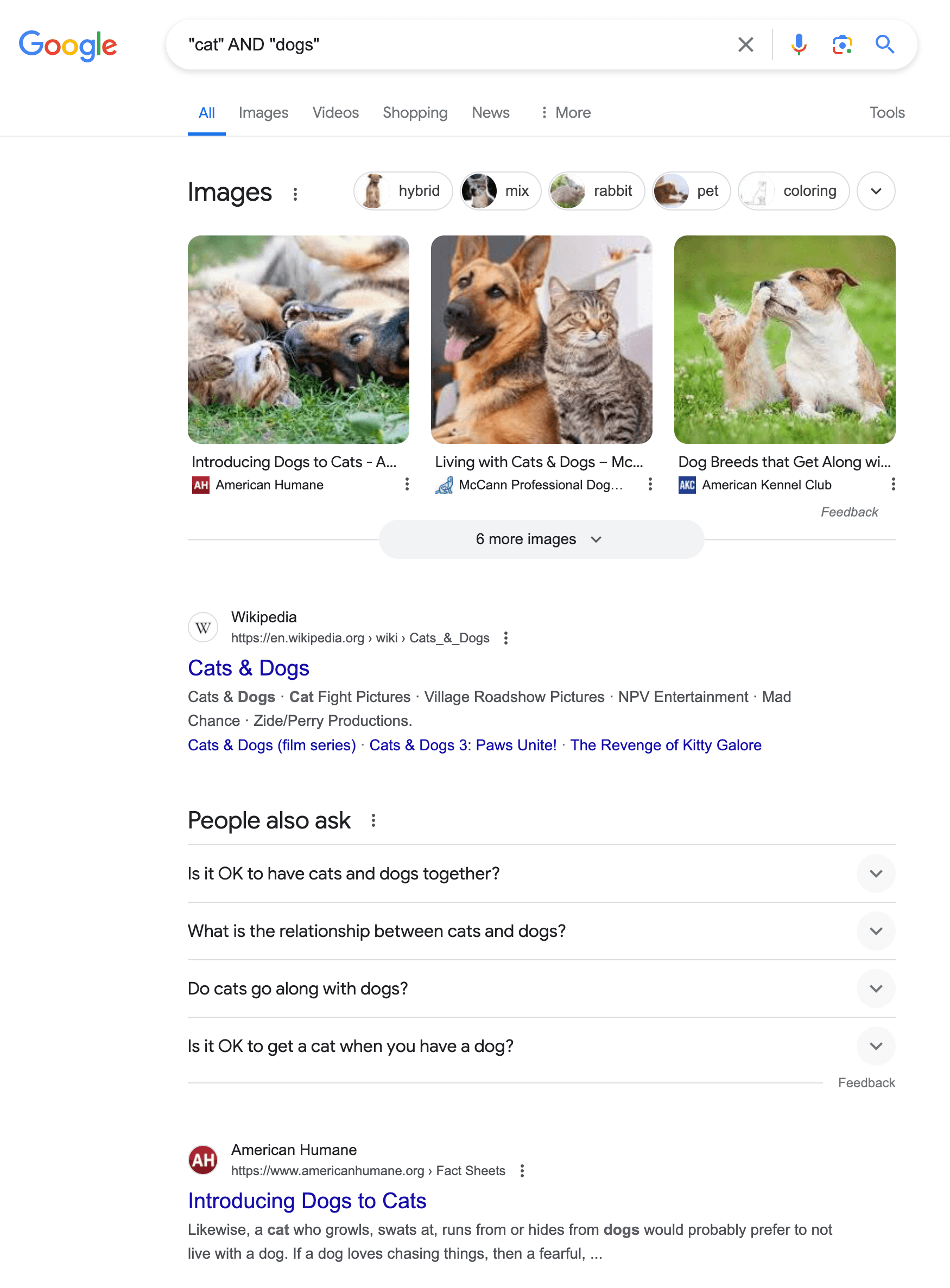 captura de tela de um resultado de pesquisa do Google para "cat AND dogs"